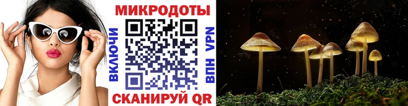 Псилоцибиновые грибы Psilocybe  Монино 