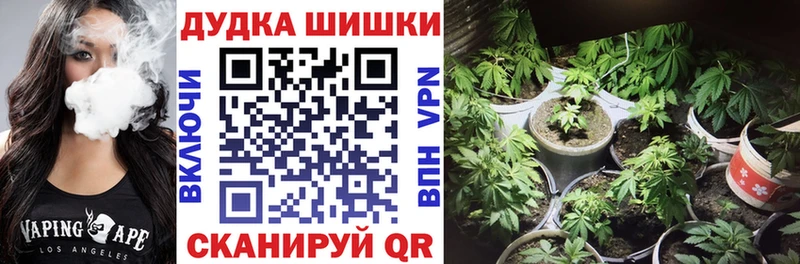Бошки марихуана SATIVA & INDICA  Монино 